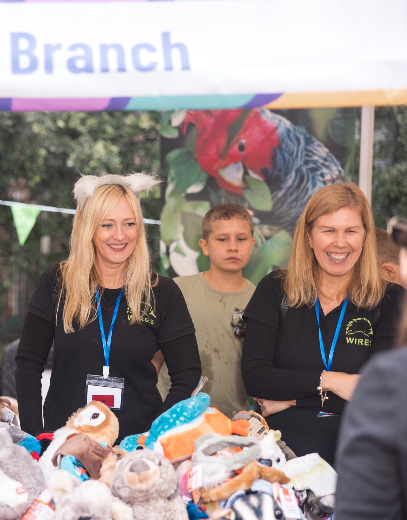 STEMFEST photo